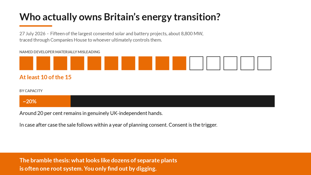 Graphic accompanying the article: Who actually owns Britain's energy transition?